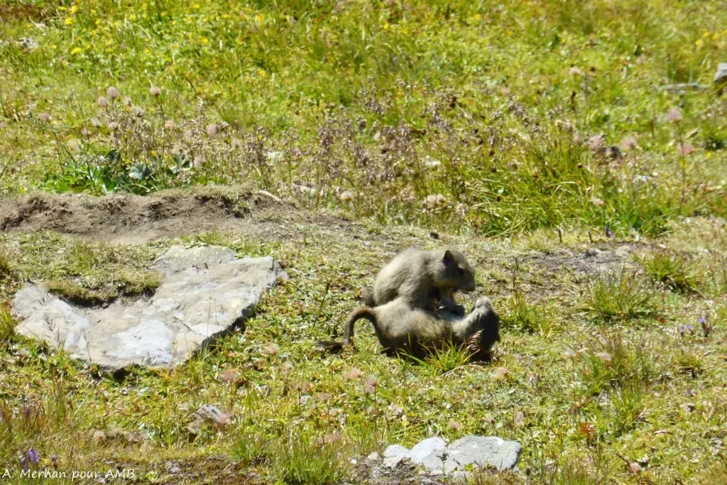 media-libraryl8q66r25t98l6qLTSEp