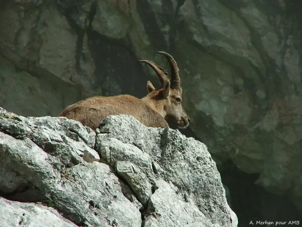 media-libraryhtm2gg4kb457aFE7pwn