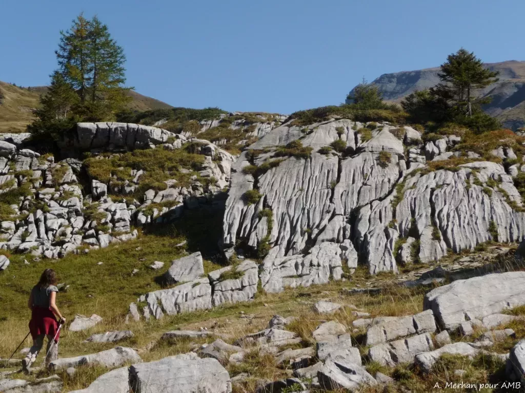 media-libraryaehv8u179kqk6pwVAPo