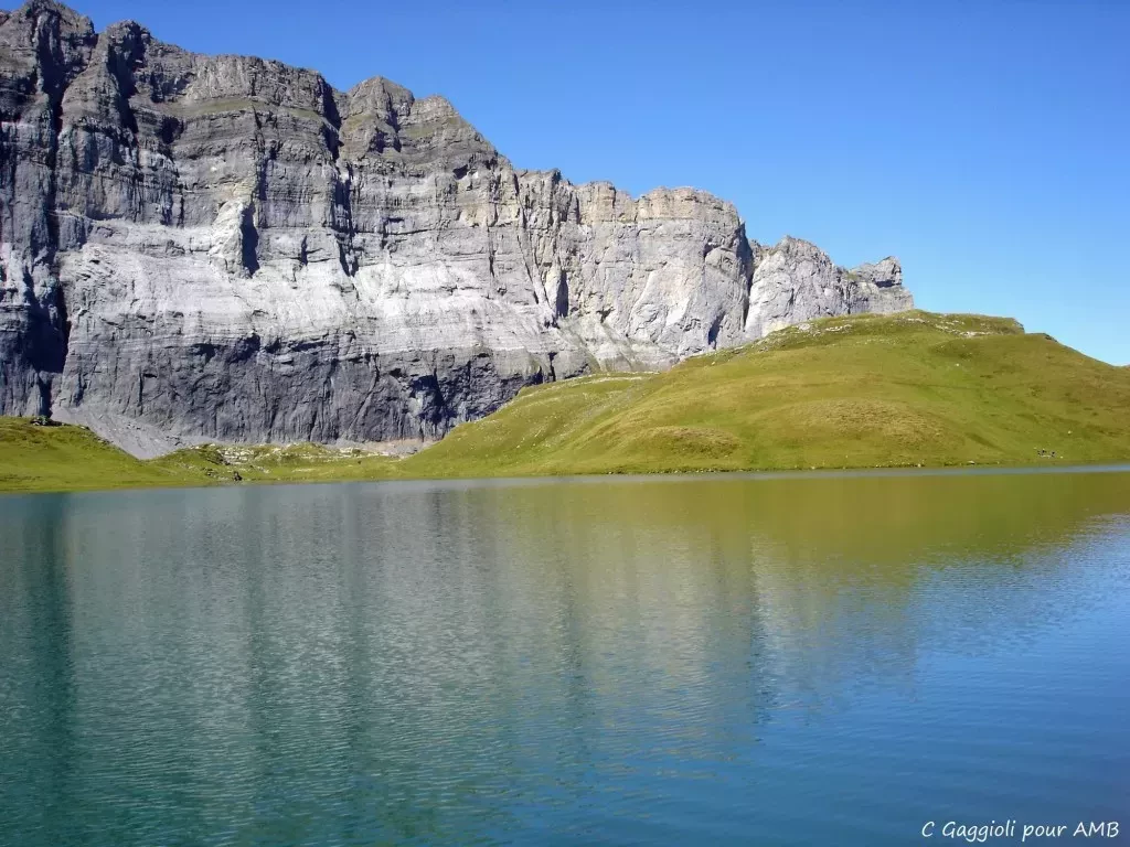 media-library2mk8k6s9e6tp1D3G5Dl