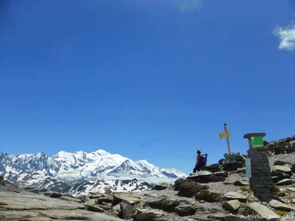 media-librarys8au143k75lu5WFocho