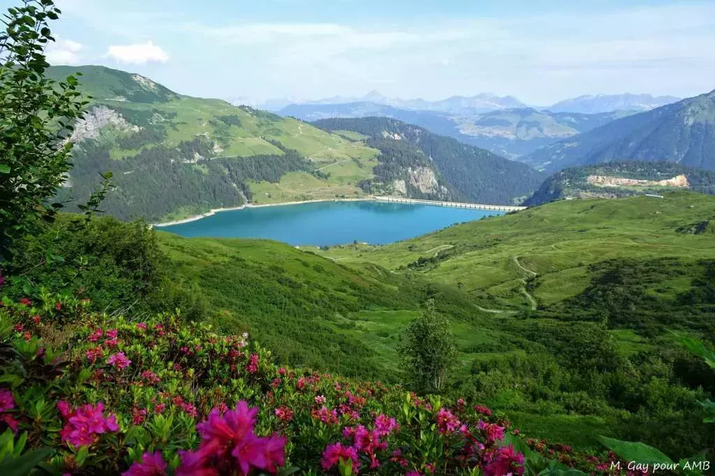 media-libraryu7ekoot8m2464ipLAYl