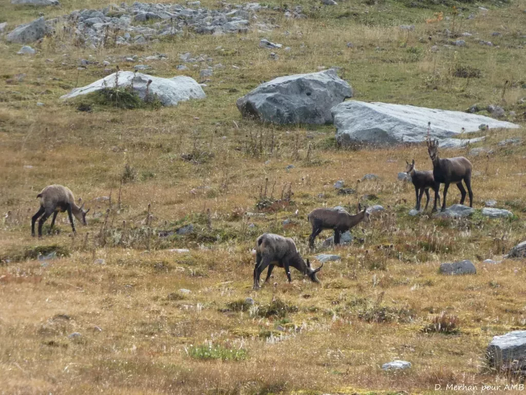 media-libraryb5457313qvfs9sCwdPo