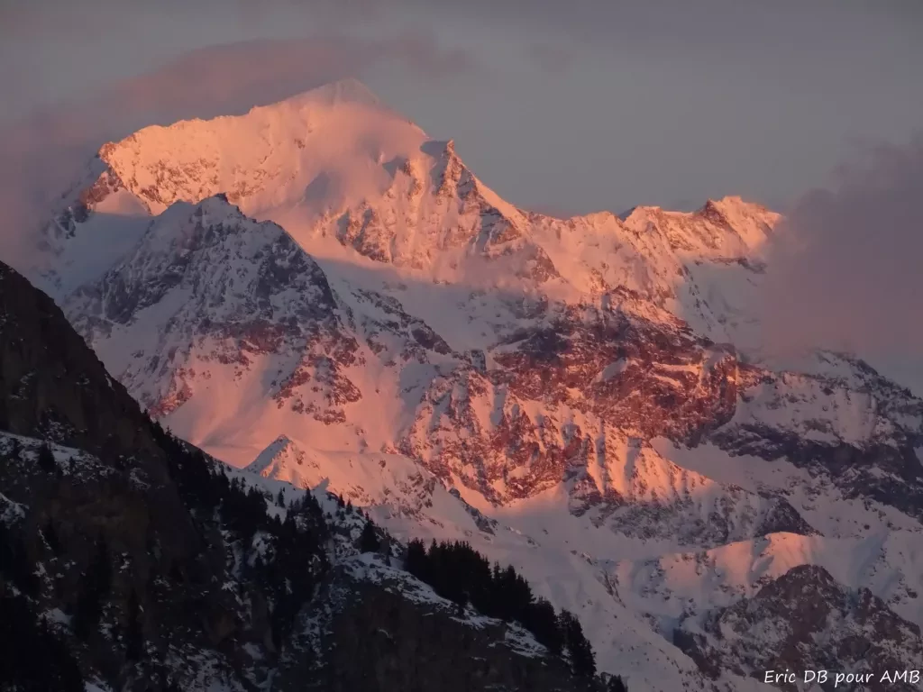 media-library2n6md7olu7846MEd57y