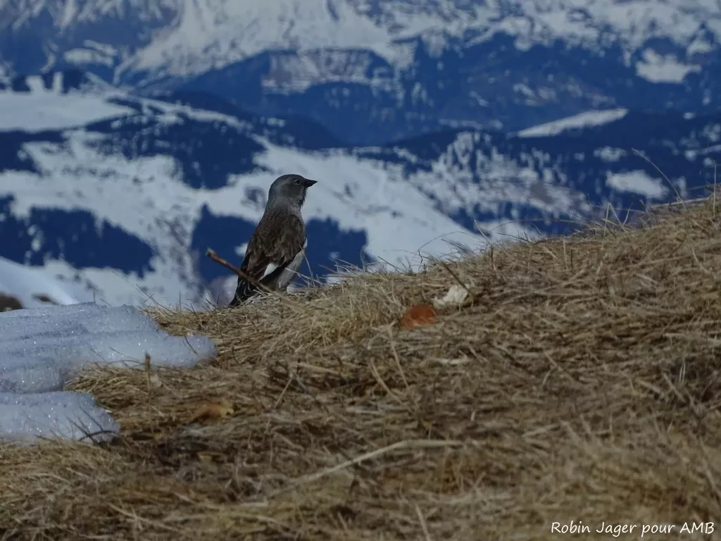 media-libraryqcv9ji50hfrvdW6gVXC