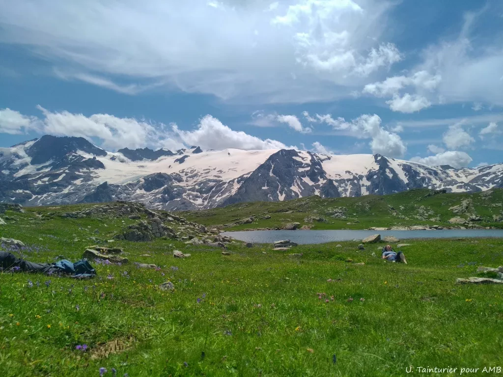 media-libraryo1cjp6rujc44eCyXx2A