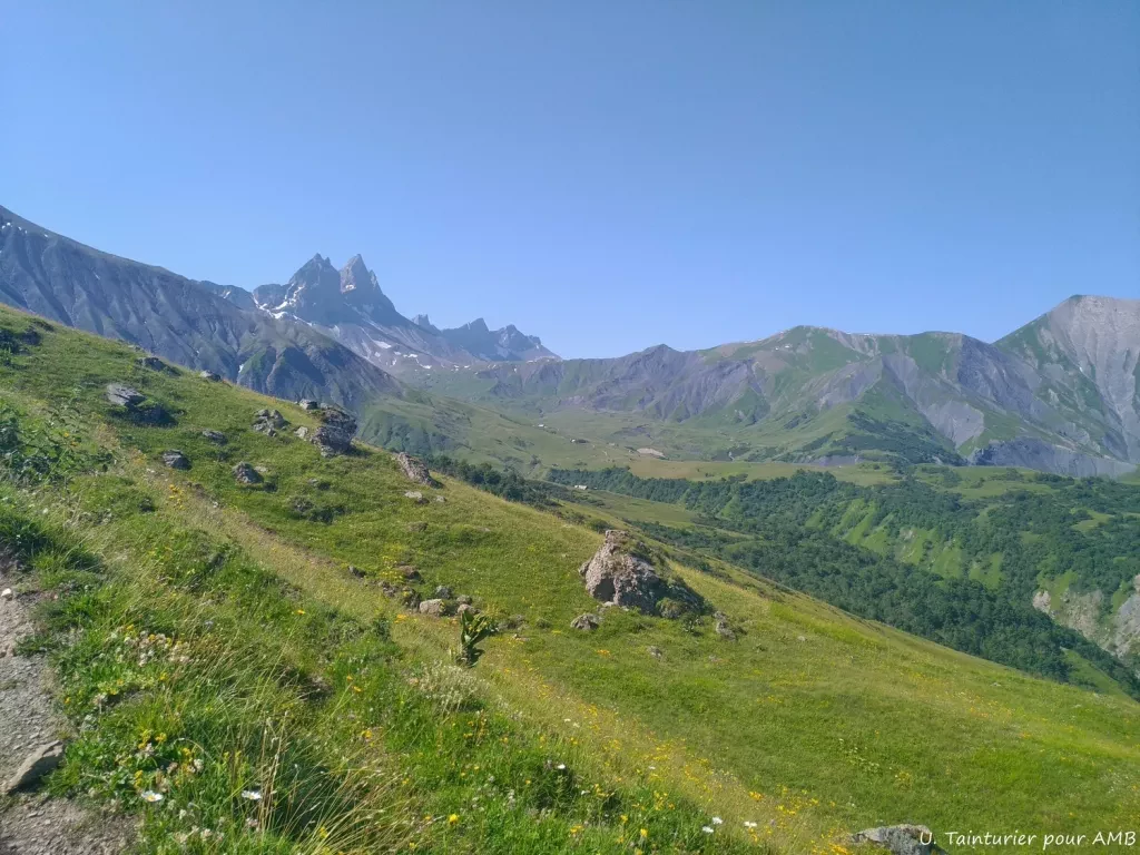 media-librarys7f7rvuh2fi97AJ6VhA