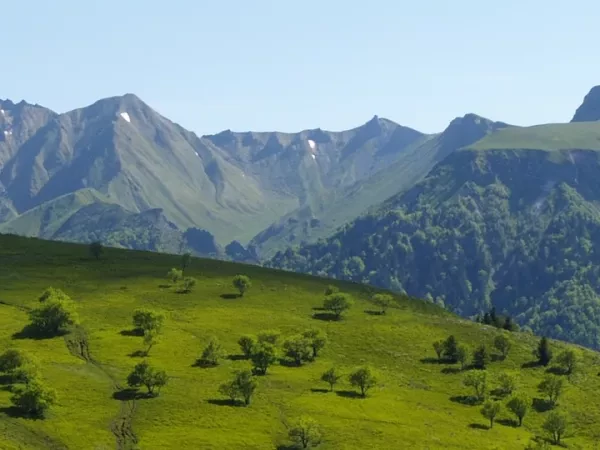 TOUR DU SANCY CONFORT en Liberté