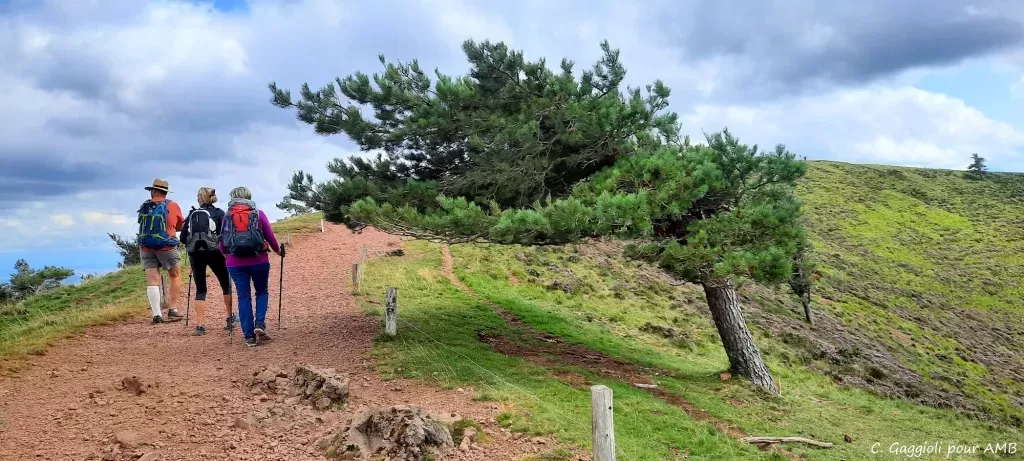 media-libraryi0m7jpql150j5wY7CTB