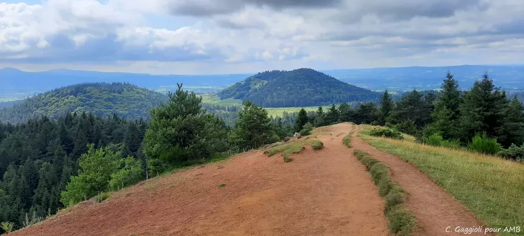 media-library2nr9md5eo7ae4uf9goy