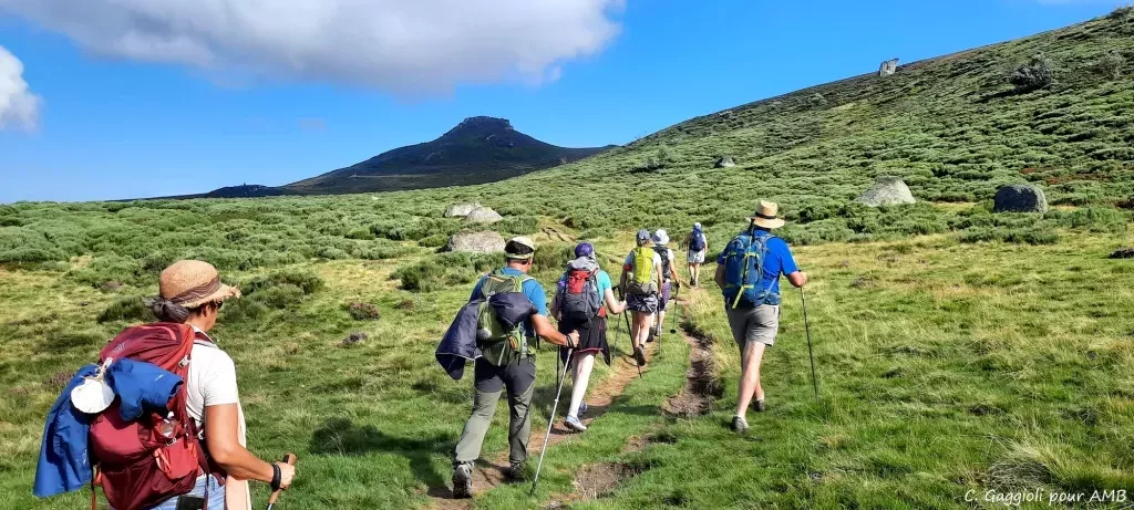 media-library6uikl6flkcei0slHOdz