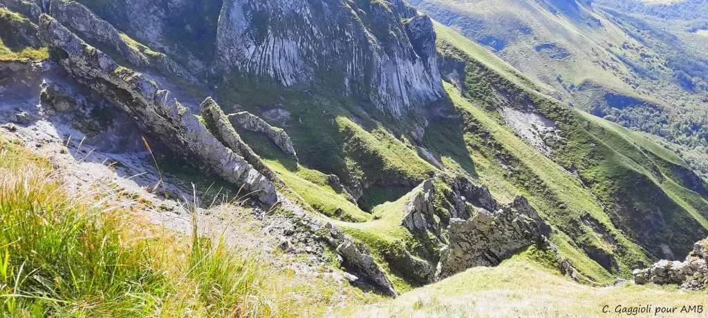 media-libraryiin36fn2blvgcOyo3RA