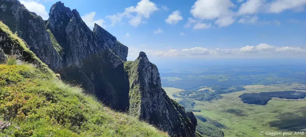 media-librarymlea99e64kkebfjM7iC