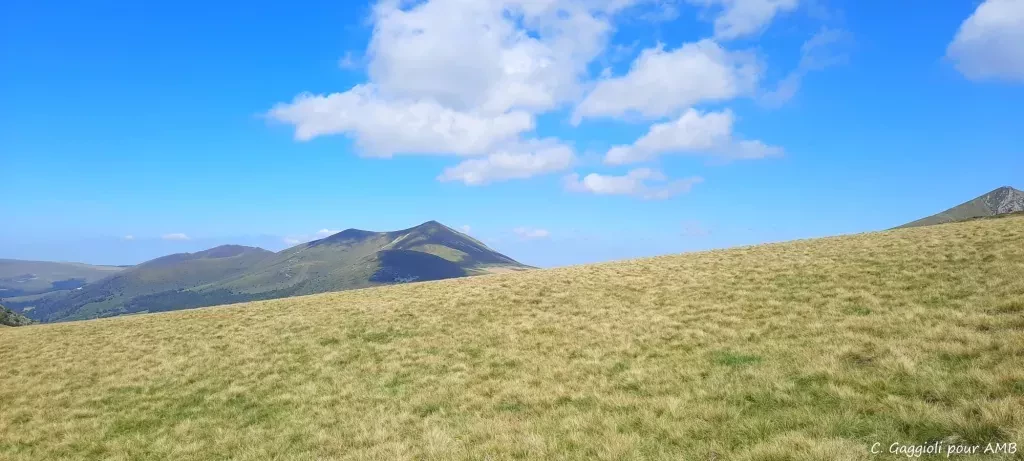 media-libraryqst90ijfrsr87b5zmMy