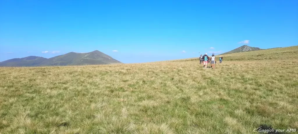 media-library4q1o8n0br0ac4Esfx0B