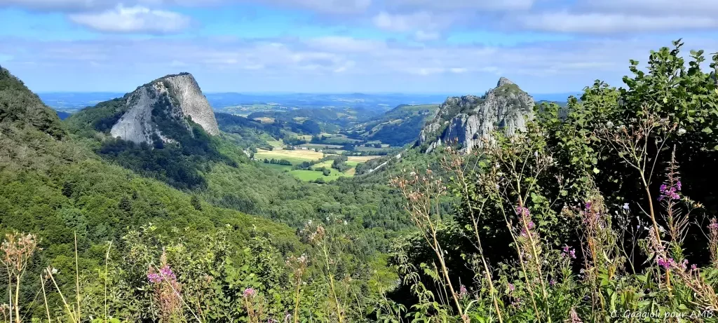 media-librarysu6uai4bionobokX4eA