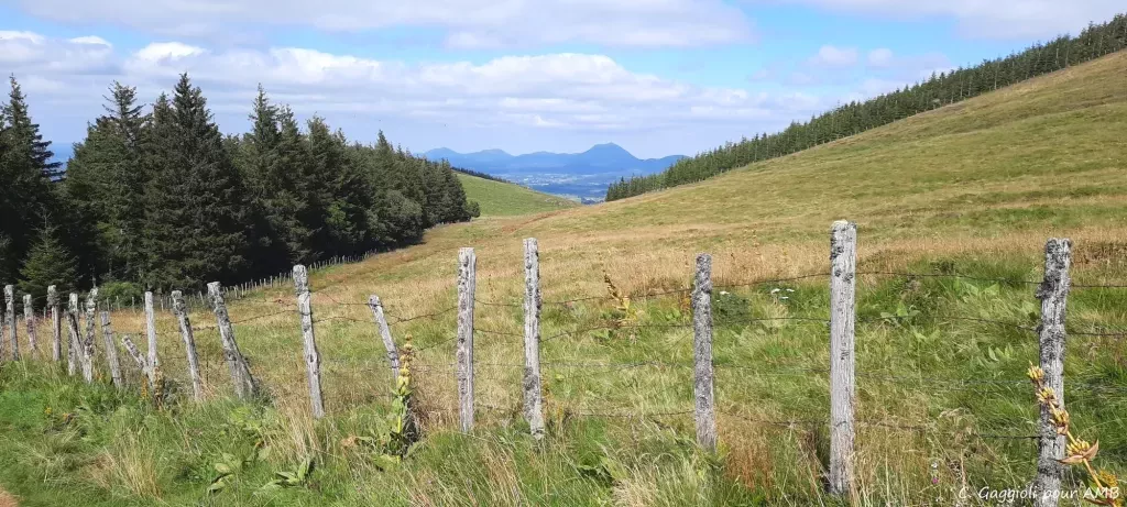 media-librarydu33eqf909rceT0Y93B