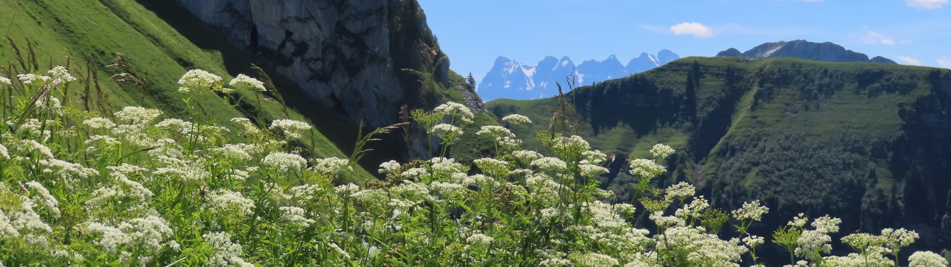 PANORAMA DE MORZINE en Liberté