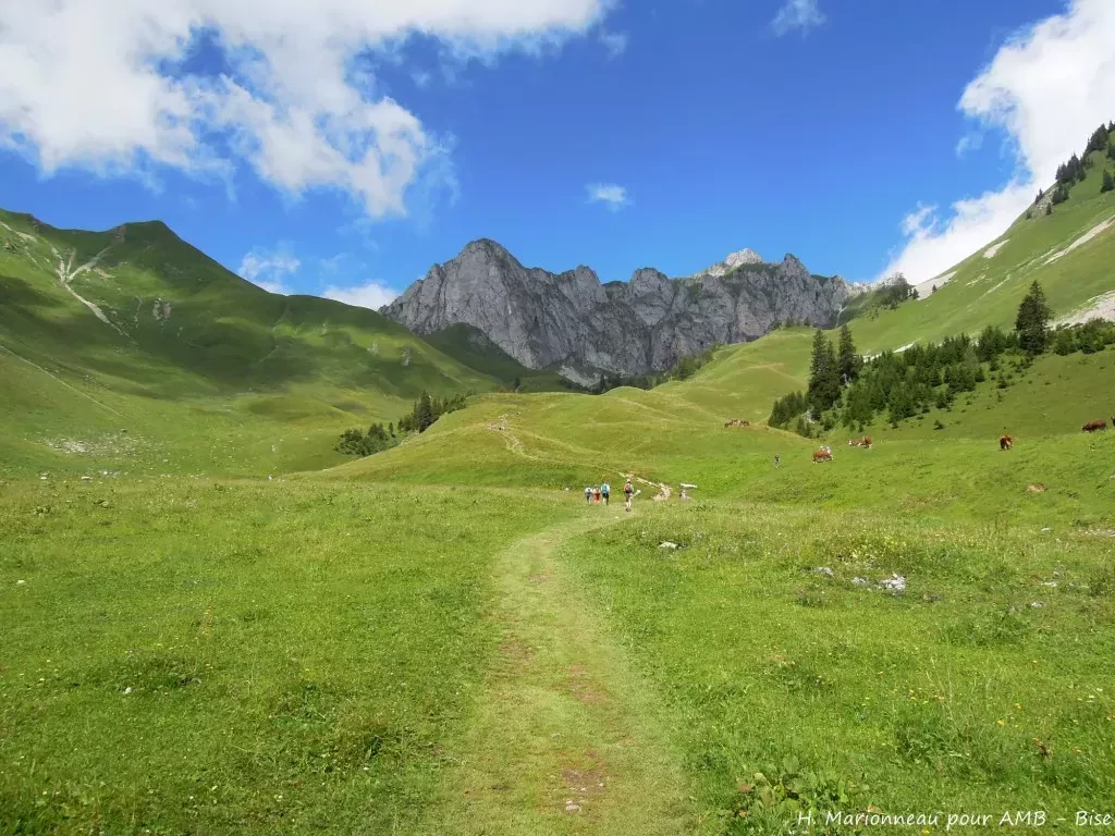 media-library2b48l3gi3ju310DbOUA