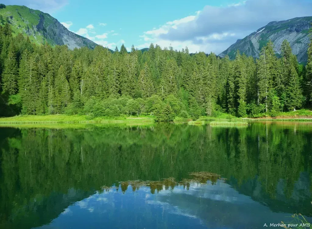 media-libraryvoa6l9ri67vs7DiDSKy