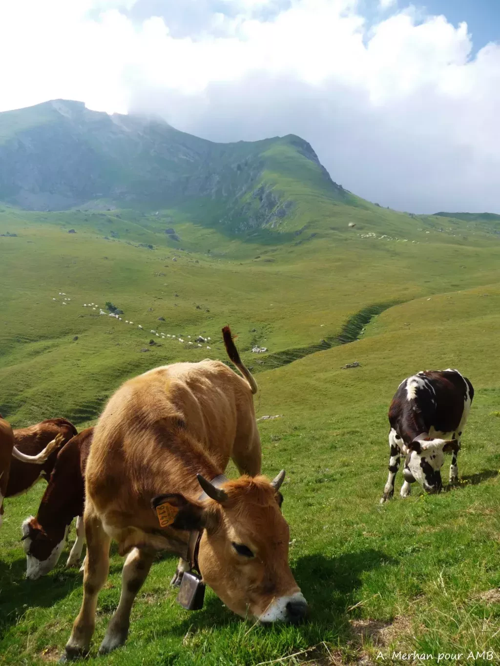 media-library42jr8nqdalqv9QzjI1y