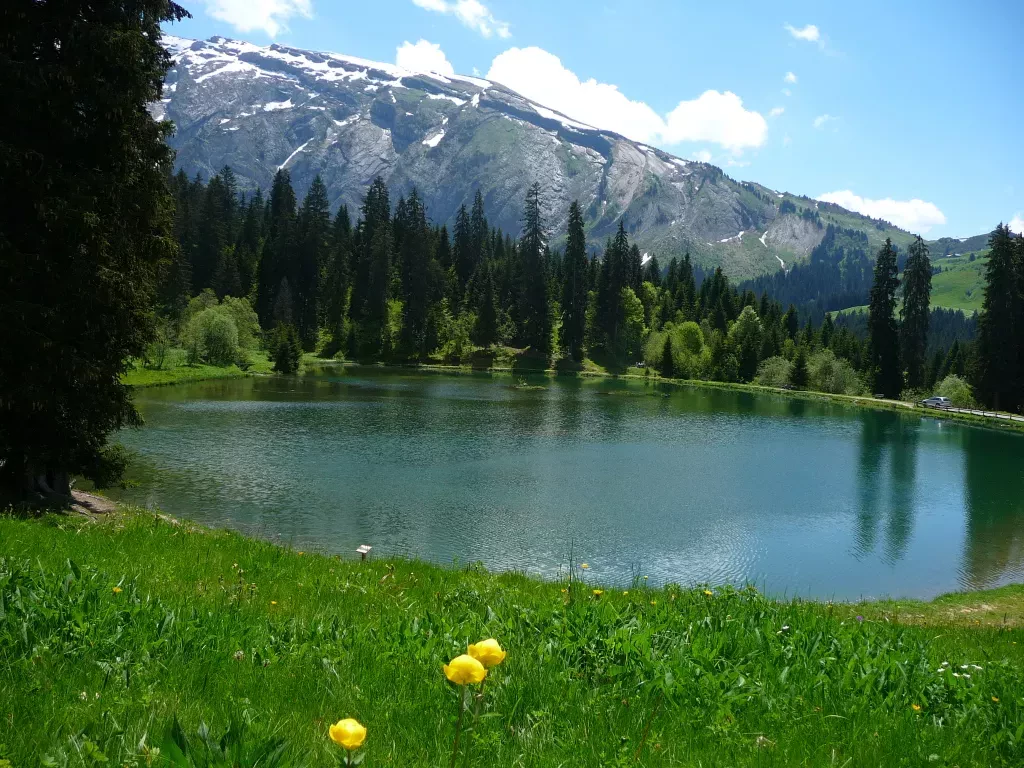 media-library5jjg2k461loc7krM58y