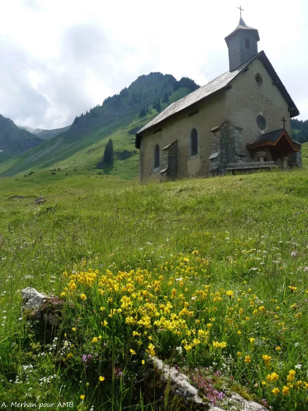 media-librarye3eptppfhlfoe4KwiQy