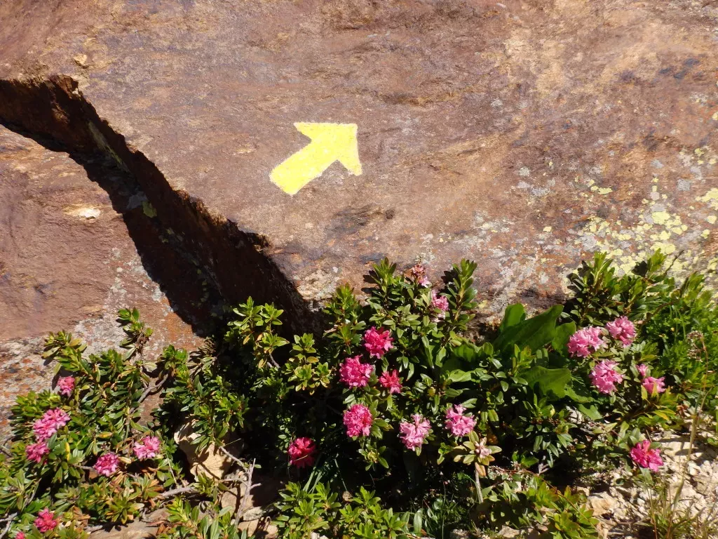 media-libraryu49i6grio0o5eirTLwA