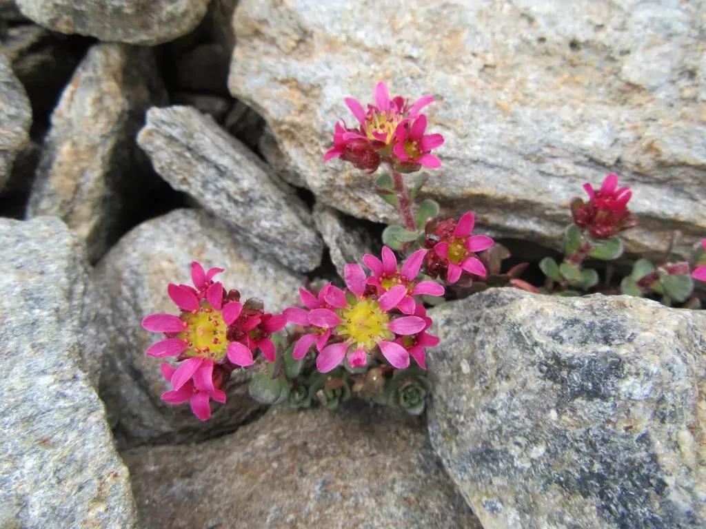 media-library9cu777buqqpbbeeoskA