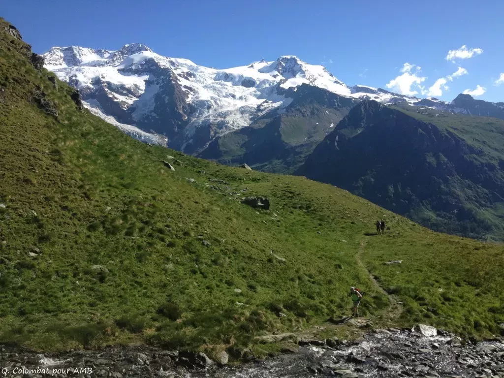 media-library3o0imspmnhuf8d1ysIC