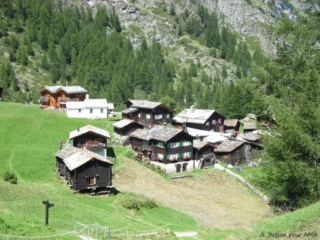 media-librarys7tn88r6ped1chpoYHy