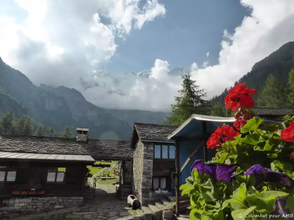 media-libraryffi5ar72m0440xrVfez