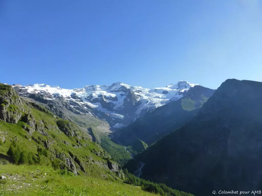 media-library3pp94vcqgo9h83y1vWA