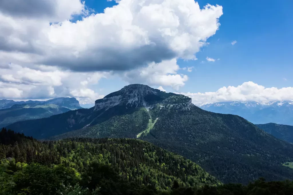 media-libraryqvgbub8hmvvrcsDs7oy