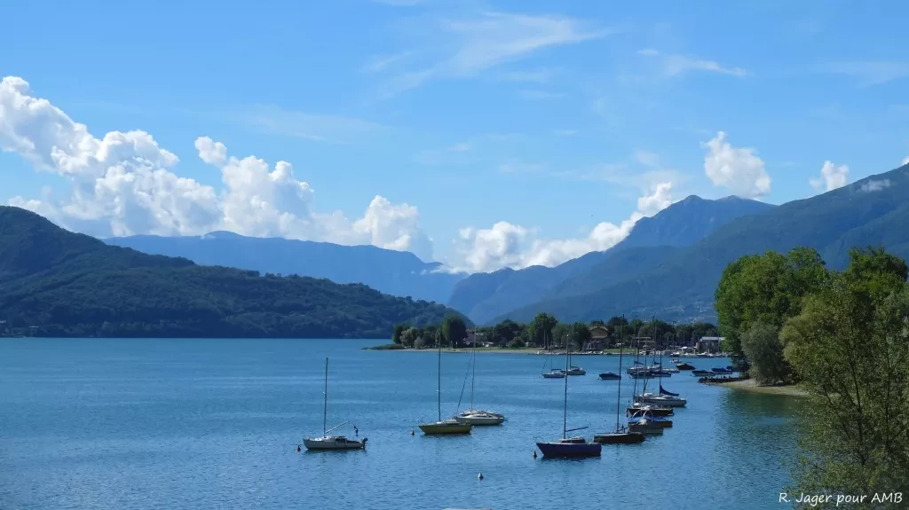 media-librarysj04v2l3vm44cA600vy