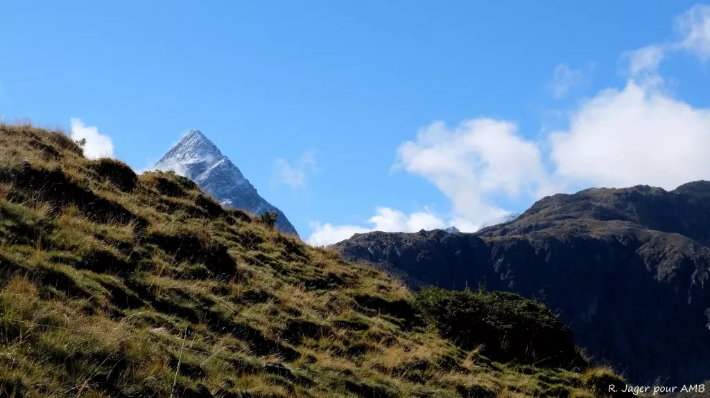 media-library2rls5efbiutncS3PofA