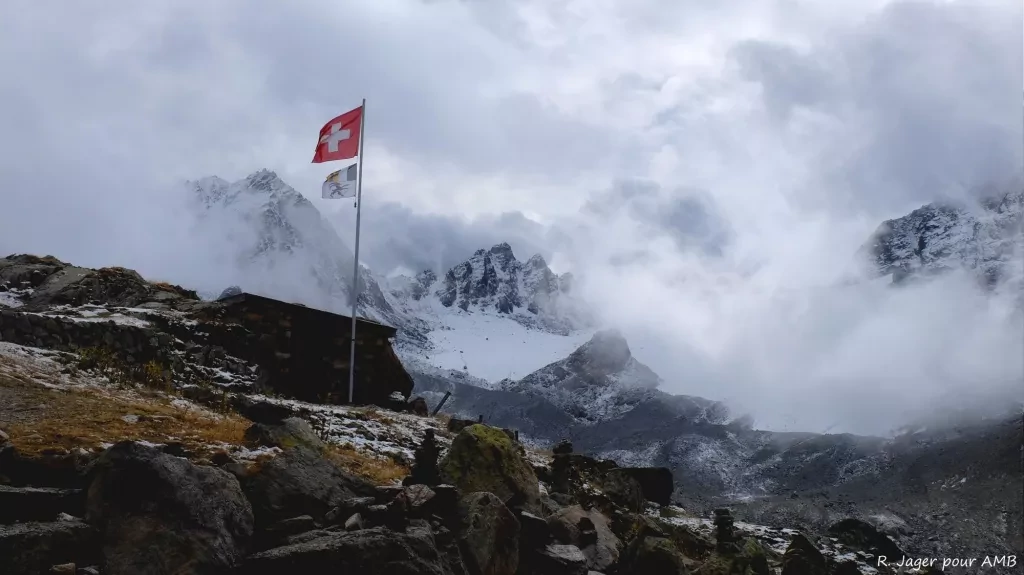 media-libraryjs4sq7djqstichzlKCC