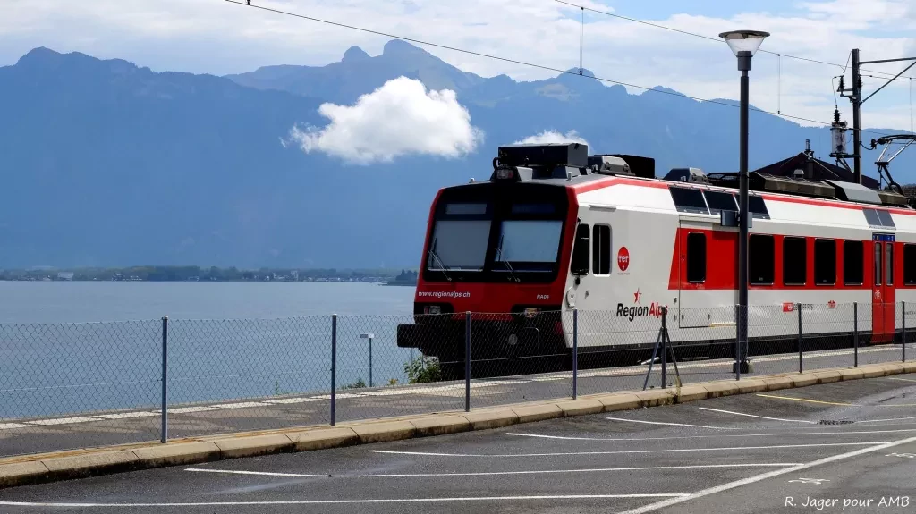 media-library4vcdgtqch8cdcvaI8Lz