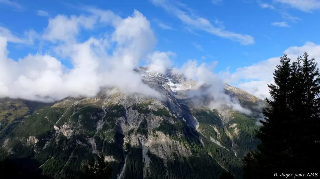 media-library4abgapdh8beo4ST7i0C