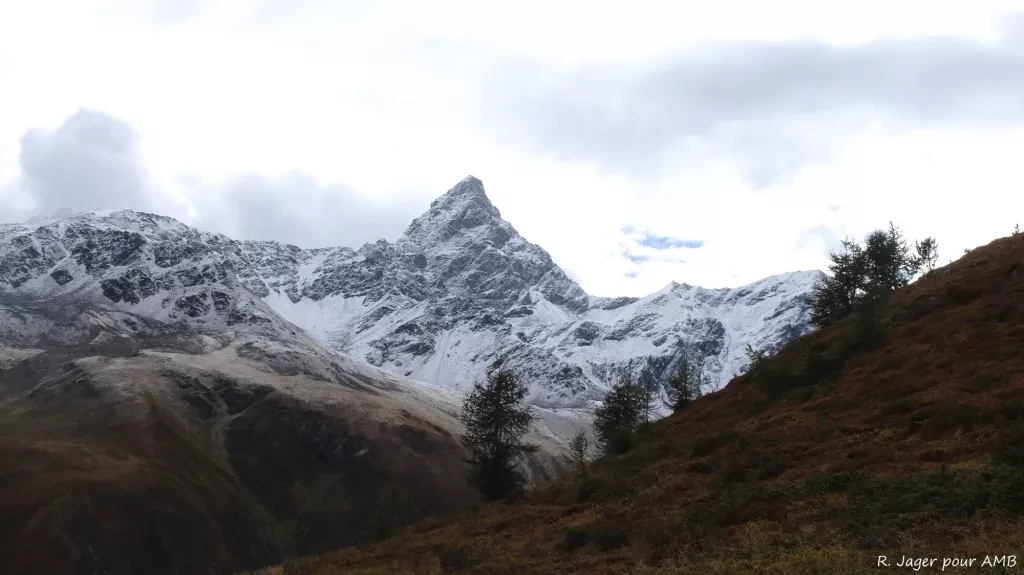 media-librarymj2219d47f5g8lx1uHB