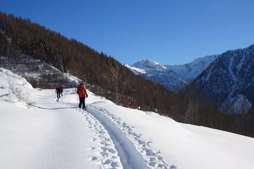 media-library6f5g02op7hijewuy8lz