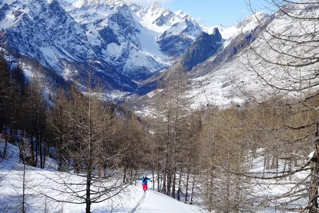 media-libraryu7bpe9uaplth24kg4oz