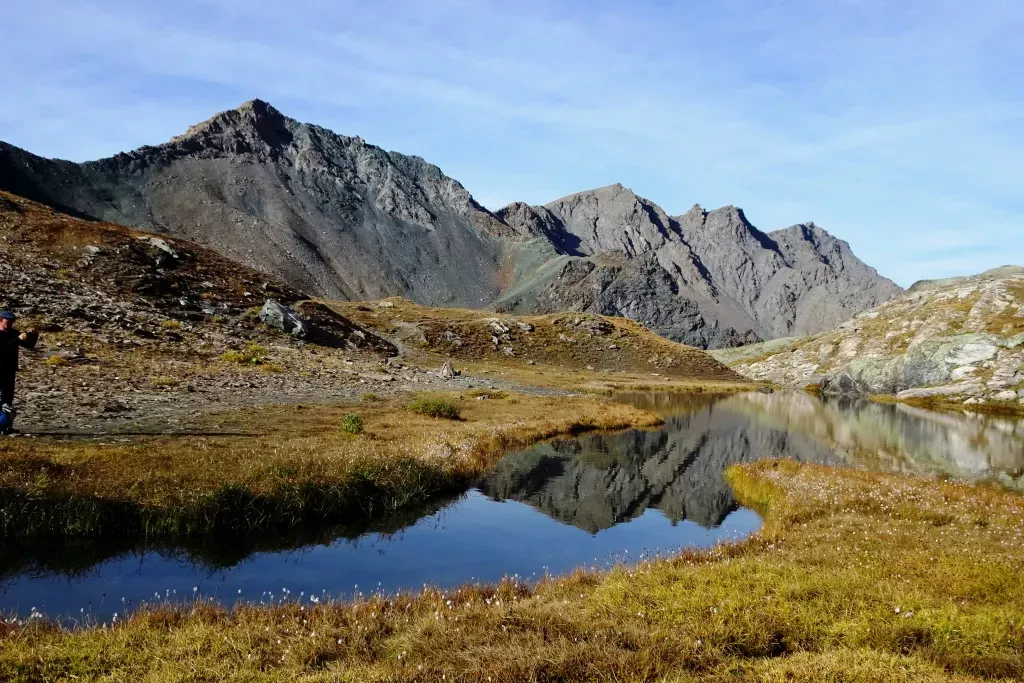 media-libraryvm1uqh5e9oj81SidaRA