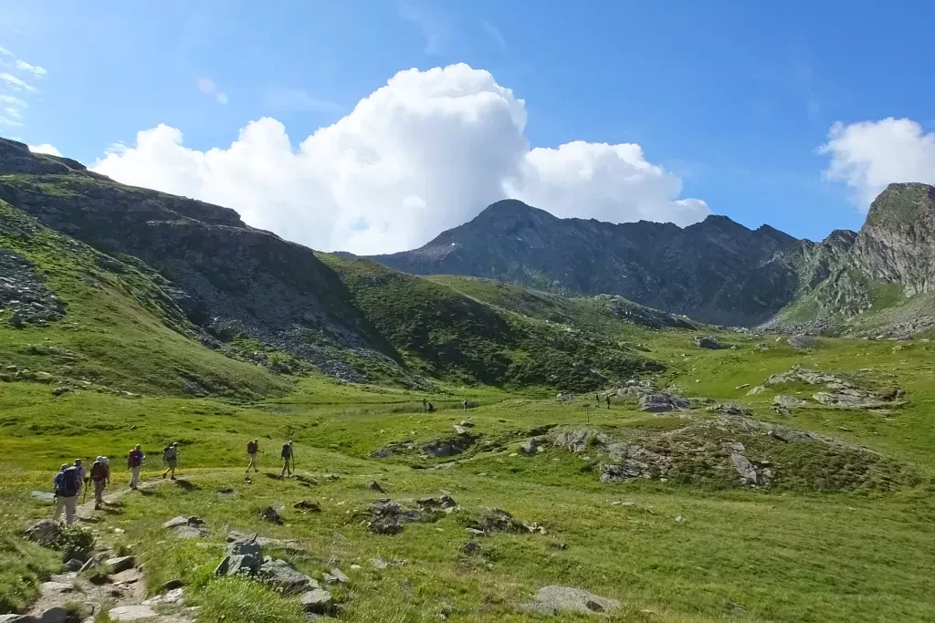 media-library1uhlr48ag6p99kmRjZC