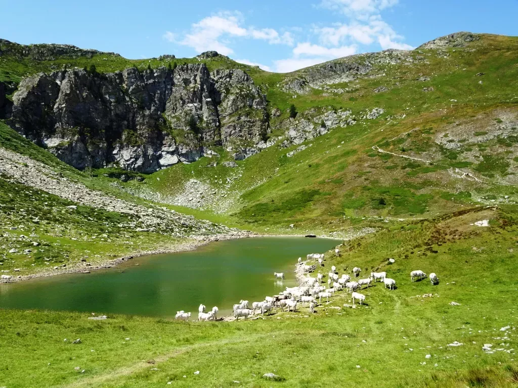 media-libraryvfmt8dqi44191W6YGRB