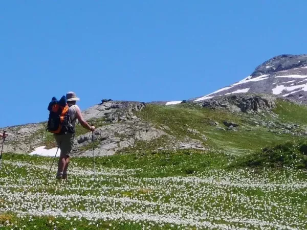 TOUR DU MONT VISO en Liberté
