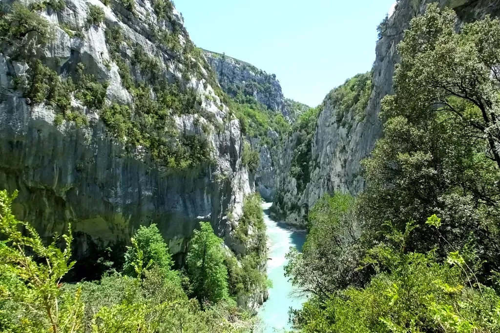 media-librarypk0blrhoukmvfUuTdkz