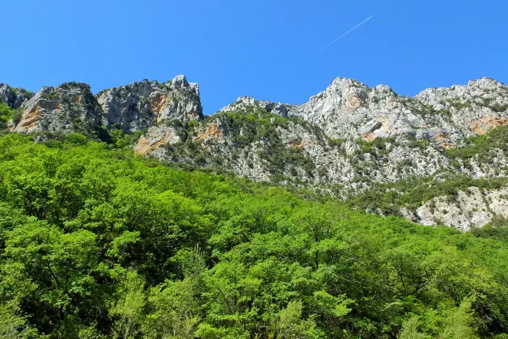 media-libraryvbe2gqpl60kk6VkUo0B