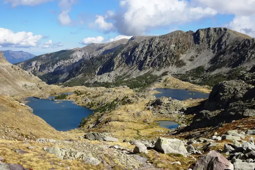 media-library10j9mtm29elt8DmkSIz