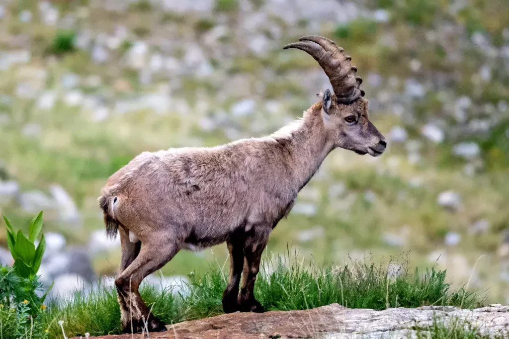 media-libraryndshr31jnn8ueQa2xHA